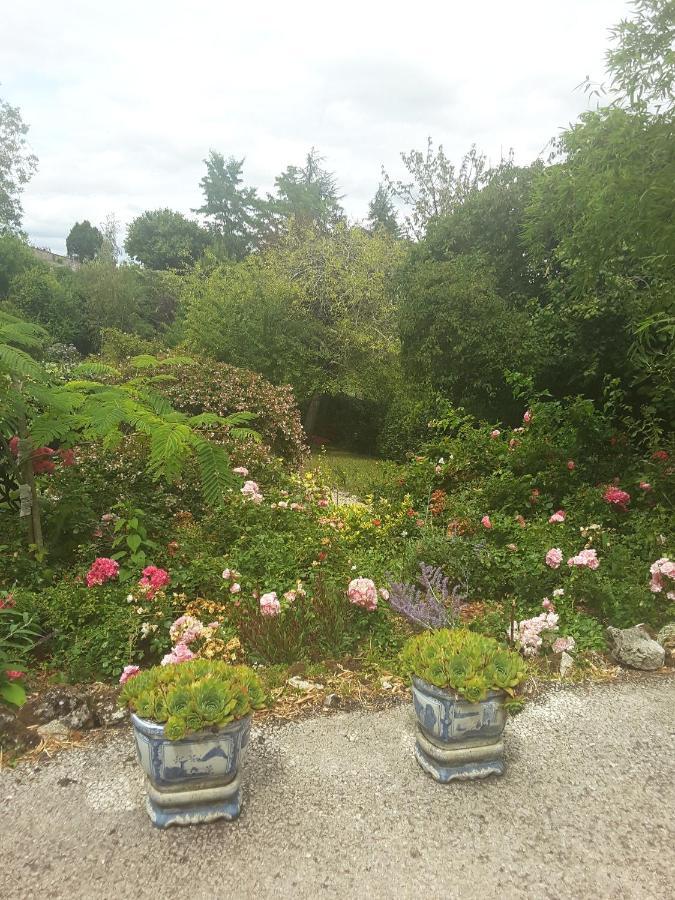 La Maison Des Thermes, Chambre D'Hote Saintes Exterior foto