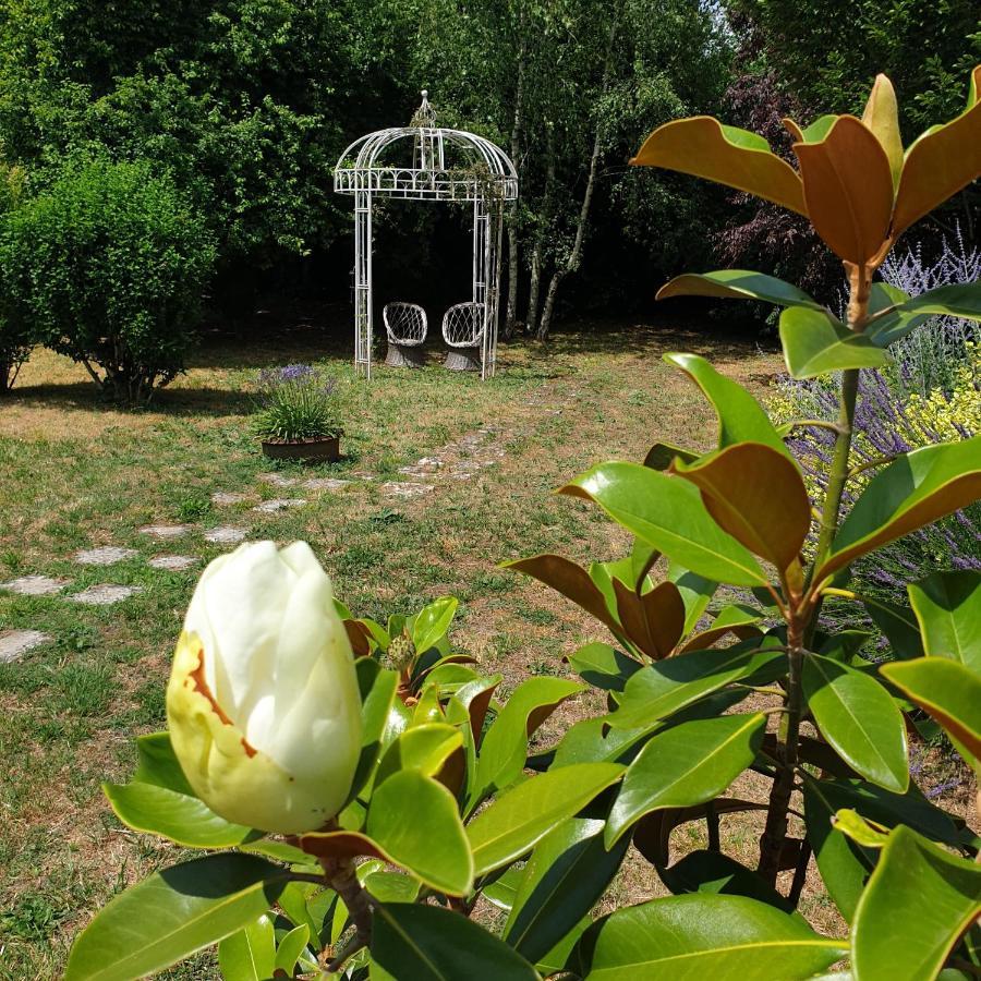 La Maison Des Thermes, Chambre D'Hote Saintes Exterior foto